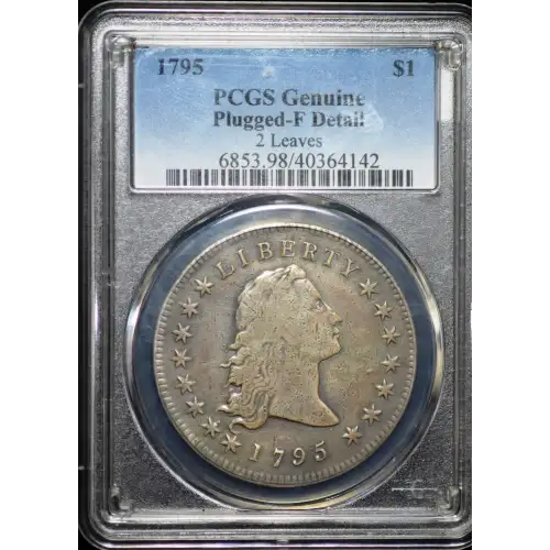 1795 $1 Flowing Hair, 2 Leaves (3)
