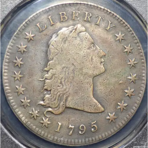 1795 $1 Flowing Hair, 2 Leaves (2)