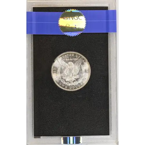 1884 GSA HOARD (3)