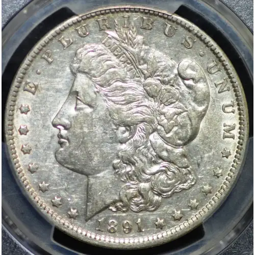 1891-O $1 (4)