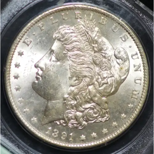 1891-S $1 (2)