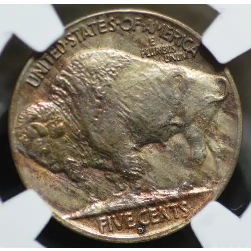 1913 D (3)
