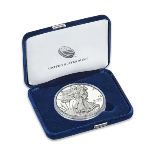 1oz Silver Eagle  Proof - with Original Govt Packaging