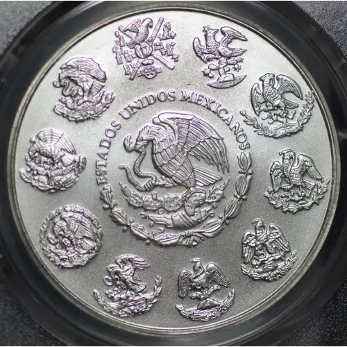 2013-Mo Onza Libertad Ag (2)