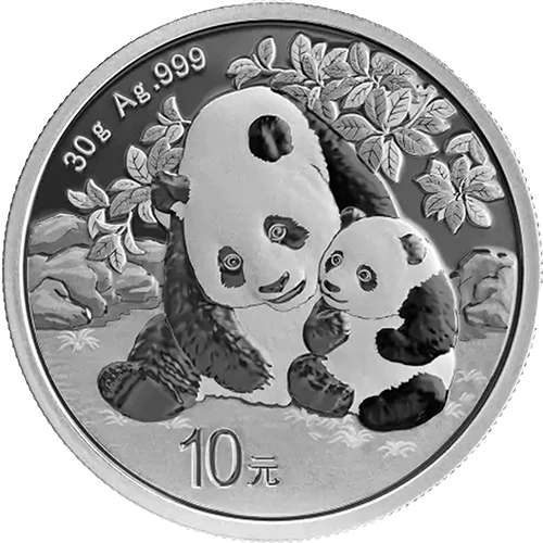 2024 30g Chinese Silver Panda (3)