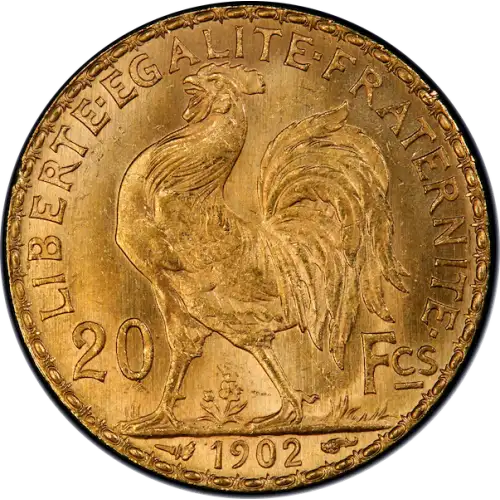Any Year Gold French 20 Franc (6)