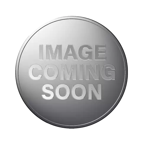 2000 1/10oz Australian Perth Mint Platinum Koala