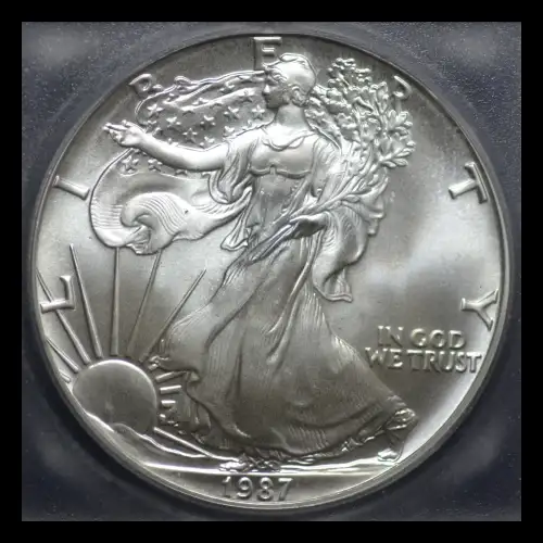 Silver Eagles (2)
