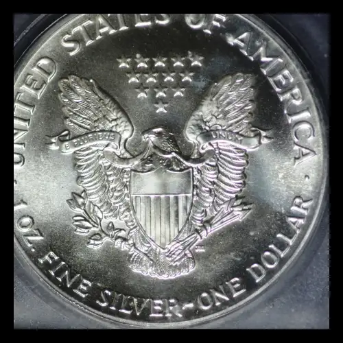 Silver Eagles (3)