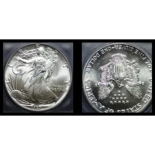 Silver Eagles (4)