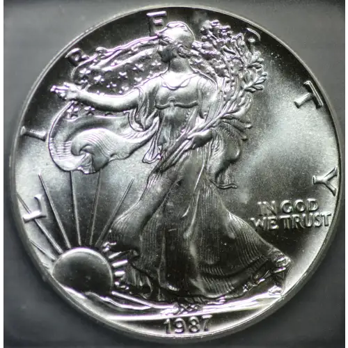 Silver Eagles