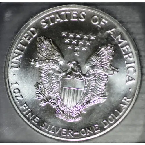 Silver Eagles (2)